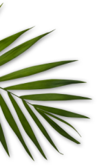 Sunkiss Beauty - 033